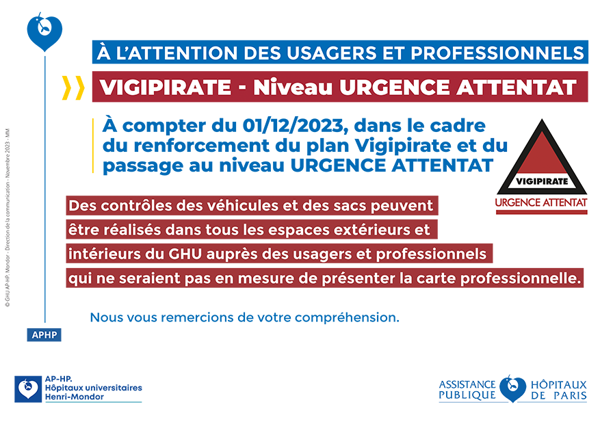 Vigipirate